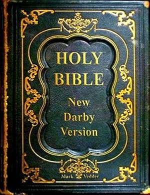 Seller image for Holy Bible New Darby Version for sale by GreatBookPrices