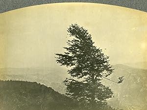 France Alpes Maritimes Countryside around Nice? Old Pictorialist Photo c1900