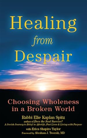 Immagine del venditore per Healing from Despair : Choosing Wholeness in a Broken World venduto da GreatBookPrices