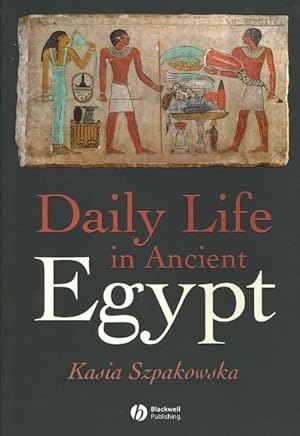Seller image for Daily Life in Ancient Egypt : Recreating Lahun for sale by GreatBookPrices