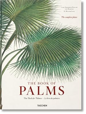 Seller image for Book of Palms / Das Buch der Palmen / Le livre des palmiers -Language: multilingual for sale by GreatBookPrices