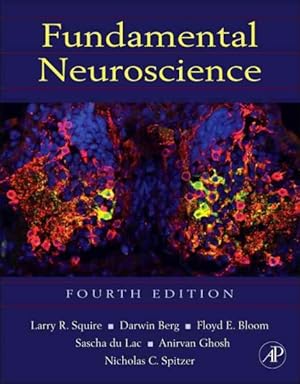 Image du vendeur pour Fundamental Neuroscience mis en vente par GreatBookPrices