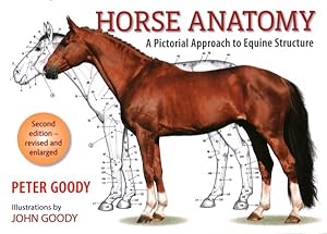 Immagine del venditore per Horse Anatomy : A Pictorial Approach to Equine Structure venduto da GreatBookPrices