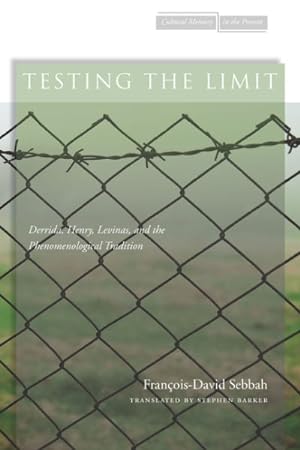 Seller image for Testing the Limit : Derrida, Henry, Levinas, and the Phenomenological Tradition for sale by GreatBookPrices