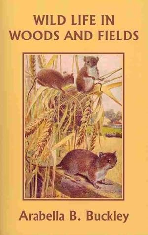 Seller image for Wild Life in Woods and Fields for sale by GreatBookPrices