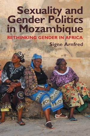 Imagen del vendedor de Sexuality & Gender Politics in Mozambique : Rethinking Gender in Africa a la venta por GreatBookPrices