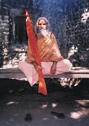 Bild des Verkufers fr Dandi Swami: The Story of the Guru's Will, Maharishi Mahesh Yogi, the Shankaracharyas of Jyotir Math, & Meetings with Dandi Swami N zum Verkauf von GreatBookPrices