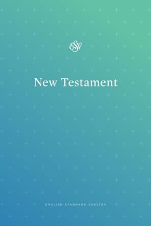 Image du vendeur pour Holy Bible : English Standard Version Outreach New Testament, Blue mis en vente par GreatBookPrices