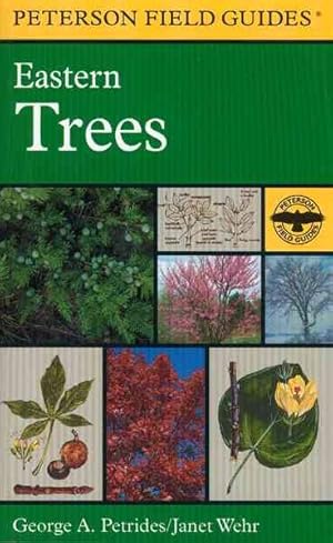 Bild des Verkufers fr Field Guide to Eastern Trees : Eastern United States and Canada, Including the Midwest zum Verkauf von GreatBookPrices