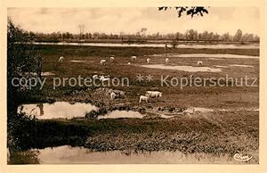 Bild des Verkufers fr Postkarte Carte Postale 13527255 Bourbon-Lancy La Loire et ses Pturages Bourbon-Lancy zum Verkauf von Versandhandel Boeger