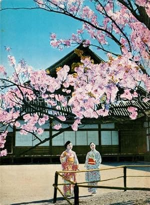Postkarte Carte Postale 73522466 Kyoto Cherry blossoms at the old Nijyo imperial palace Baumbluet...