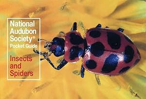 Seller image for Familiar Insects and Spiders North America for sale by GreatBookPrices