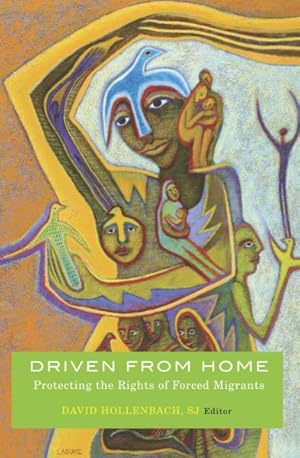 Imagen del vendedor de Driven from Home : Protecting the Rights of Forced Migrants a la venta por GreatBookPrices