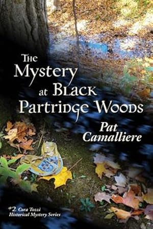 Immagine del venditore per The Mystery at Black Partridge Woods venduto da GreatBookPrices