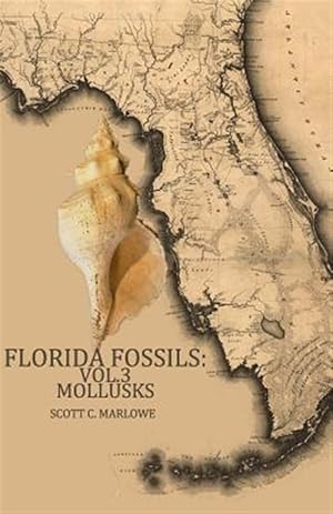 Seller image for Florida Fossils for sale by GreatBookPrices