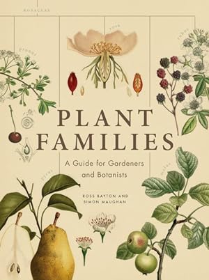 Immagine del venditore per Plant Families : A Guide for Gardeners and Botanists venduto da GreatBookPrices