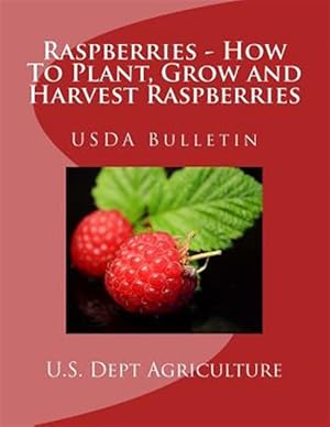 Seller image for Raspberries - How to Plant, Grow and Harvest Raspberries : Usda Bulletin for sale by GreatBookPrices