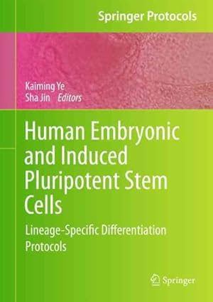 Bild des Verkufers fr Human Embryonic and Induced Pluripotent Stem Cells : Lineage-Specific Differentiation Protocols zum Verkauf von GreatBookPrices