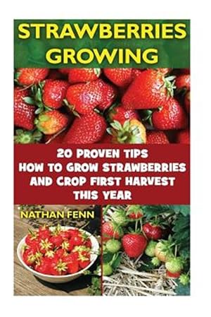 Imagen del vendedor de Strawberries Growing : 20 Proven Tips How to Grow Strawberries and Crop First Harvest This Year a la venta por GreatBookPrices