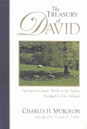 Imagen del vendedor de Treasury of David : Spurgeon's Classic Work on the Psalms; Abridged in One Volume a la venta por GreatBookPrices