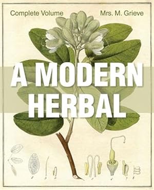 Seller image for A Modern Herbal for sale by GreatBookPrices