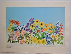 A GARDEN OF WILDFLOWERS: Promotional Poster