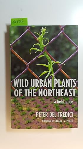 Wild urban plants of the Northeast : a field guide