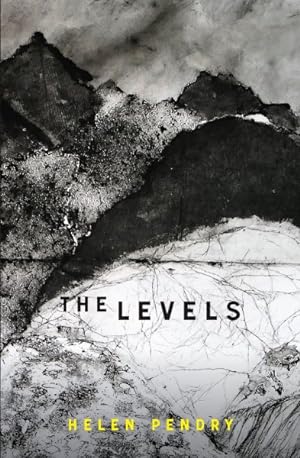 Seller image for Levels for sale by GreatBookPrices