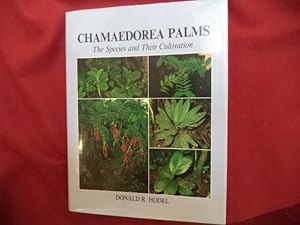 Imagen del vendedor de Chamaedorea Palms. The Species and Their Cultivation. a la venta por BookMine