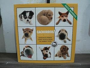 Immagine del venditore per Cachorros! Adorables perros cmo nunca antes los habas visto venduto da El Pergam Vell