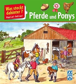 Was steckt dahinter? Pferde und Ponys