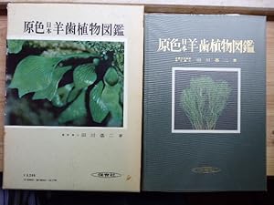 Coloured Illustrations of the Japanese Pteridophyta.