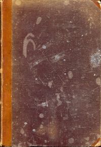 Bild des Verkufers fr Waldfrulein. ein Mhrchen in achtzehn Abentheuern. zum Verkauf von Bcher Eule