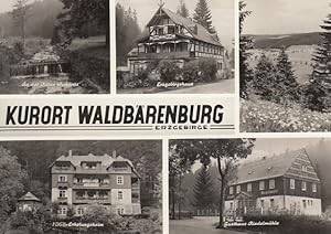 AK Kurort Waldbärenburg Erzgebirge.