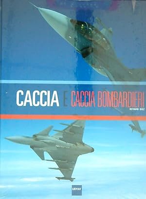 Image du vendeur pour Caccia e caccia bombardieri mis en vente par Librodifaccia