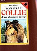 Imagen del vendedor de Tout Sur Le Collie : Elevage, Alimentation, Dressage a la venta por RECYCLIVRE