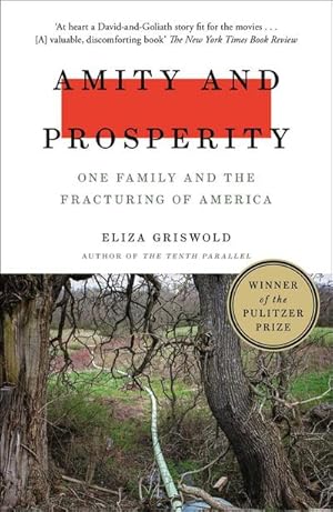 Seller image for Amity and Prosperity : One Family and the Fracturing of America - Winner of the Pulitzer Prize for Non-Fiction 2019 for sale by AHA-BUCH GmbH
