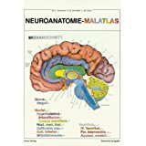 Immagine del venditore per Neuroanatomie-Malatlas. venduto da nika-books, art & crafts GbR