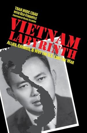 Bild des Verkufers fr Vietnam Labyrinth: Allies, Enemies, and Why the U.S. Lost the War. zum Verkauf von nika-books, art & crafts GbR