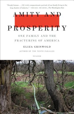 Seller image for Amity and Prosperity: One Family and the Fracturing of America (Paperback or Softback) for sale by BargainBookStores