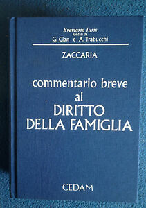 Imagen del vendedor de Commentario Breve Al Diritto Della Famiglia a la venta por Piazza del Libro