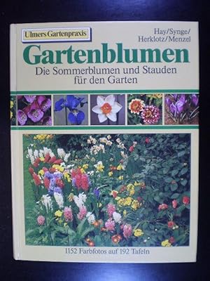 Gartenblumen. Die Sommerblumen und Stauden für den Hausgarten