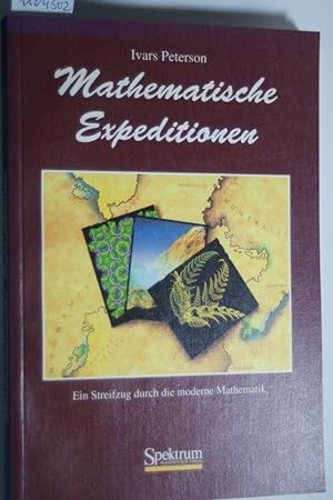 Mathematische Expeditionen: Ein Streifzug durch die moderne Mathematik