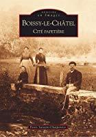 Imagen del vendedor de Boissy-le-chtel : Cit Papetire a la venta por RECYCLIVRE