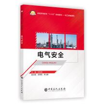 Seller image for Electrical Safety(Chinese Edition) for sale by liu xing