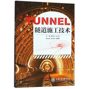 Immagine del venditore per Tunnel construction technology(Chinese Edition) venduto da liu xing