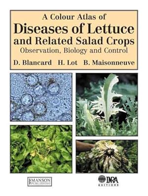 Seller image for Colour Atlas Of Diseases Of Lettuce And Related Salad Crops : Observation, Biology and Control for sale by GreatBookPrices