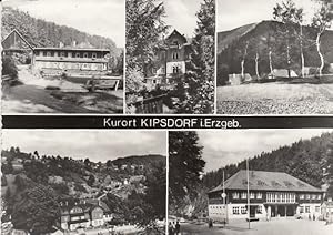 AK Kurort Kipsdorf i. Erzgeb. Mehrbildkarte,