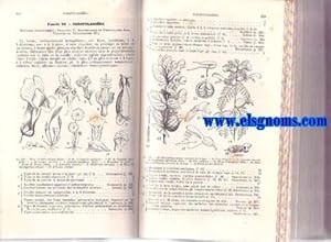 Seller image for Nouvelle flore franaise descriptions succientes et ranges par tableaux dichothomiques des plantes qui croissent spontenment en France et des celles qu'on y ciltive en grand avec l'indication de leurs proprits et de leurs usages en Mdecine, en Hygiene Vtrinaire, dans les Arts et dans L'Economie domestique. Ouvrage suivi d'une Table gnrale des espces et de leurs synonymes. for sale by Llibreria Antiquria Els Gnoms