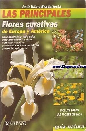 Immagine del venditore per Las principales flores curativas de Europa y Amrica. venduto da Llibreria Antiquria Els Gnoms